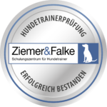 mobiles Hundetraining, individuelles Hundetraining, Hundeschule, tierschutzkonform, zertifiziert